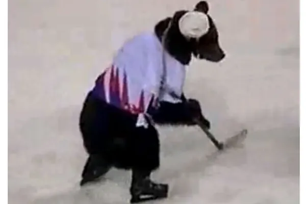Urşii joacă hochei, în Rusia. VEZI VIDEO!