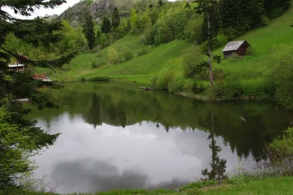 Miliarde de dolari, despăgubiri pentru compania ce a încercat să exploateze aurul de la Roşia Montană
