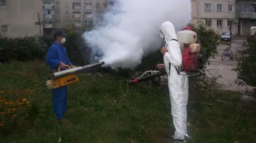De ce au întârziat foarte mult deratizarea și dezinsecția Bucureștiului. Răspunsul lui Nicușor Dan