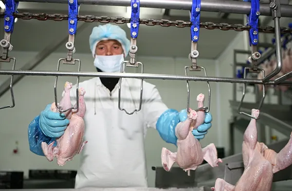 Nereguli GRAVE la abatorul Tönnies, din Germania. Ce măsuri au luat autoritățile din această țară