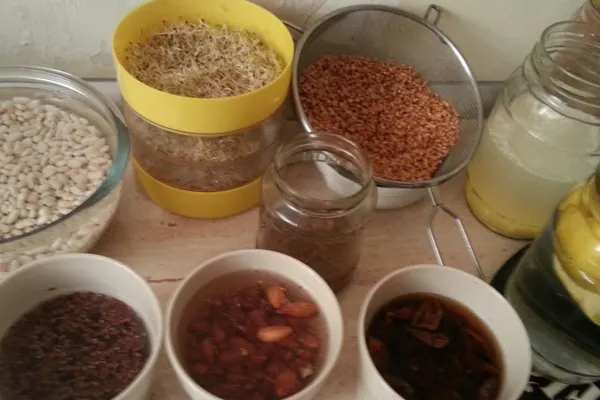 5 motive sa incluzi alimentele germinate in dieta ta