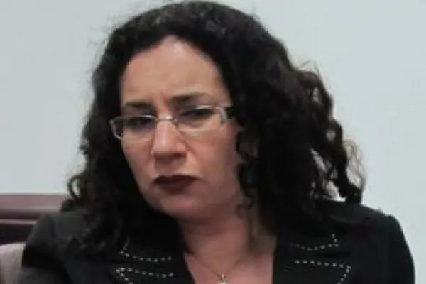 Oana Schmidt Hăineală: Nu am fost la Guvern să discut despre coduri