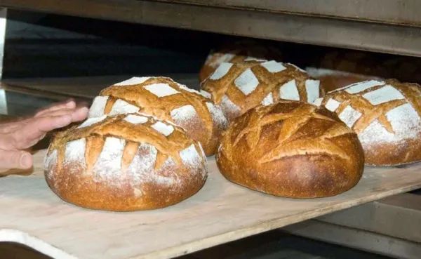 Care sunt alimentele preferate ale românilor şi de unde le cumpără