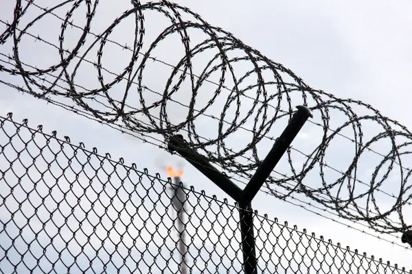 Un deţinut italian condamnat la închisoare pe viaţă a reuşit să evadeze după o acţiune de comando