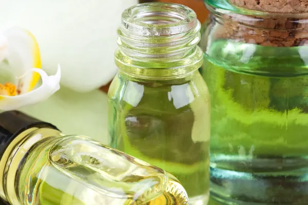 SĂNĂTATE. Uleiul de oregano, antibiotic natural