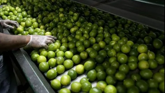 Noul "aur" al Mexicului. Produsul care se scumpeşte cu 50% în fiecare lună