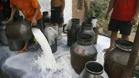 Anchetă într-o fabrică de brânzeturi din Rusia, după ce angajații au făcut baie în lapte