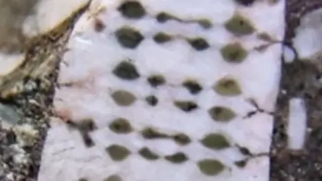 Descoperire MISTERIOASĂ ÎN RUSIA. Chipul CONTROVERSAT încastrat într-o piatră