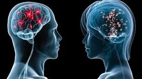 Alimentele care au consecințe dezastruoase asupra activității cerebrale