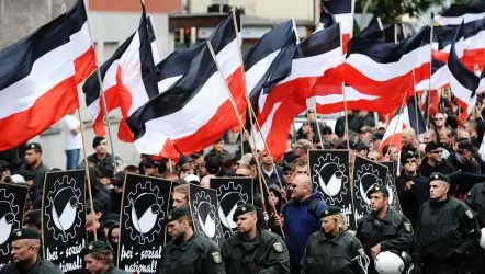 Neonaziştii din NPD obţin un mandat în PE în Germania, partidul antieuro - 7 mandate