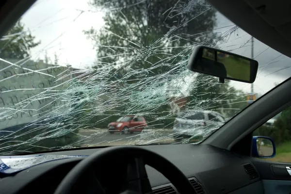 Șase oameni au murit în Germania din cauza furtunilor