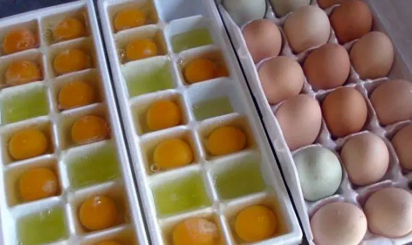 7 ALIMENTE pe care nu credeai că le poţi CONGELA
