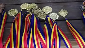 Elevii români au câștigat 15 medalii de aur la concursul internațional Infomatrix