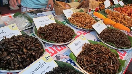 Marile MAGAZINE vor începe să vândă ALIMENTE din INSECTE. Vezi în ce țară