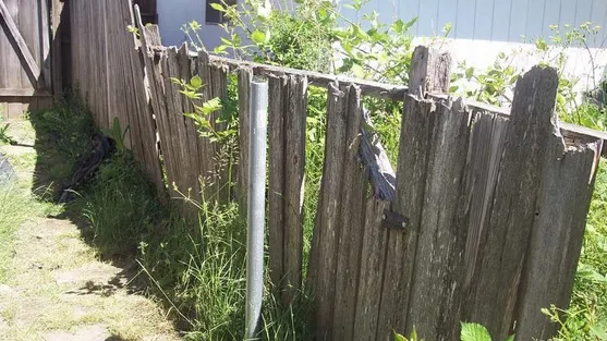 ALEGERI PREZIDENŢIALE 2014. Pungi cu alimente, atârnate de porţile unor localnici,în Bistriţa-Năsăud
