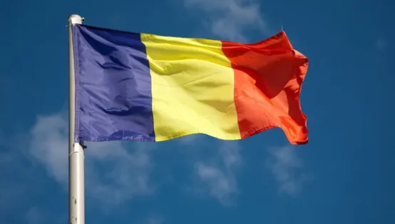 Ce le cer românii din SUA și Canada guvernanților de la București