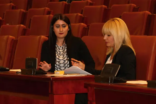 Ce deputați au venit la Elena Udrea, să îi adreseze câteva cuvinte, înainte de vot