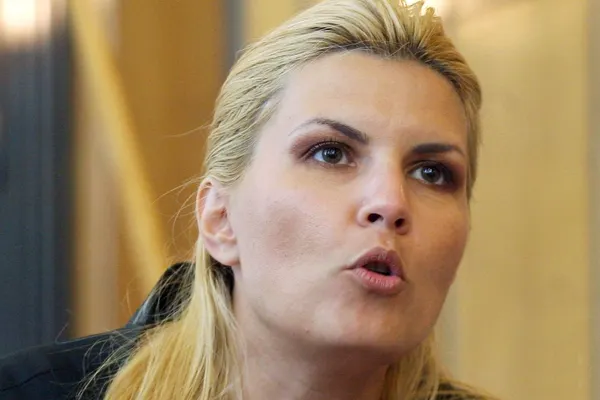 Elena Udrea, mesaj de ultimă oră pe Facebook despre votul în cazul Şova: "Şocant!"