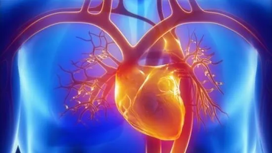 Ce mănâncă medicii pentru a avea grijă de sănătatea inimii lor