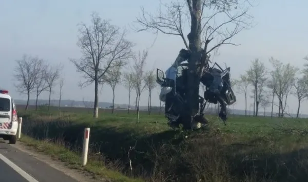 Accident şocant în vestul ţării. A murit, după ce a ajuns cu maşina într-un copac