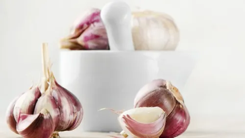 Ierburi şi alimente cu proprietăţi antibiotice