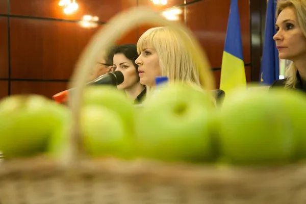 Elena Udrea, nou dosar pentru un credit de 3 milioane de euro