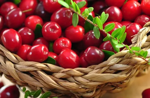 Alimentele care pot preveni infarctul și cancerul