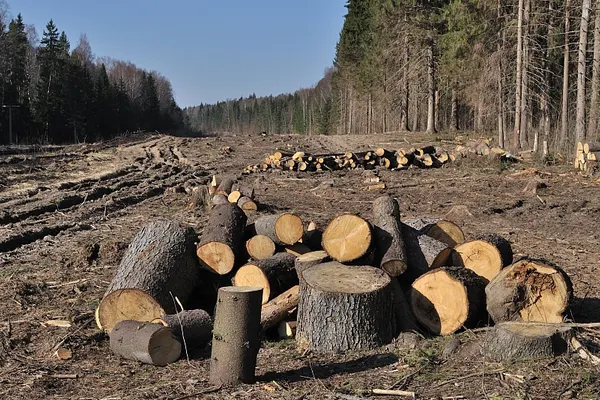 Anchetă incredibilă! Aproape tot masivul Retezat ar aparține grupului Schweighofer