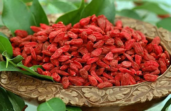 Tot ce trebuie să ştii despre fructele de goji. De ce sunt atât de benefice pentru sănătate