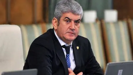 Oprea: Rovana Plumb este, de fapt, liderul acestei coaliţii. Ponta este acum doar prim-ministru