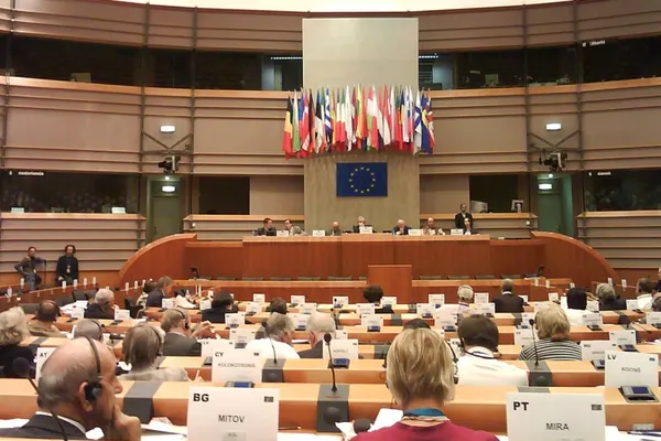 Guvernul a trimis nominalizările. Cine ne va reprezenta în Comitetul Economic și Social European