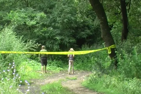 Bărbat, găsit mort într-o pădure lângă Botoșani. Polițiștii sunt șocați! Cum au descoperit cadavrul