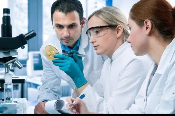 O echipă de cercetători români a inventat jeleul cu nanoparticule de aur! Care este rolul lui