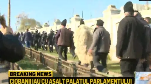 Cioban: Această lege înseamnă pentru oierit arest la domiciliu! Moarte sigură!