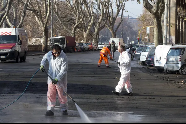 Au închis drumurile din cauza găinațului de graur. S-a întâmplat într-un mare oraș