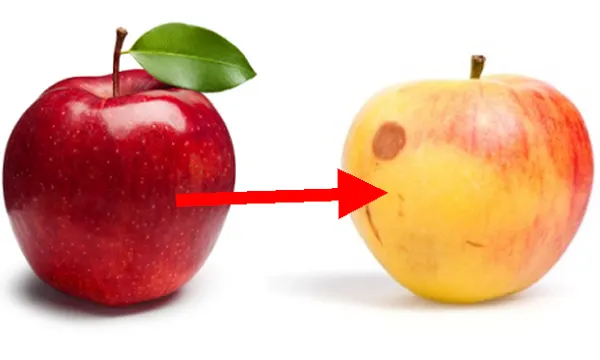 NU mai consuma niciodată aceste alimente încurajatoare de boli canceroase