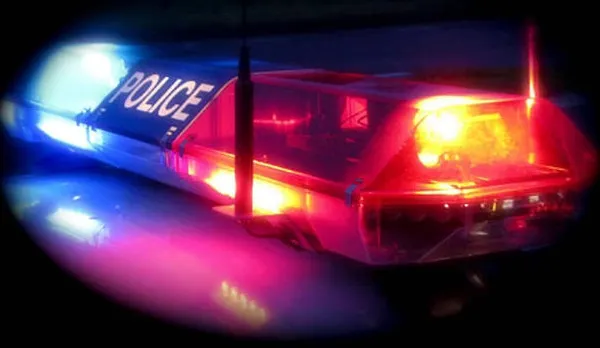 Au înduioșat Facebook-ul. Ce au găsit polițiștii în mijlocul unei șosele aglomerate