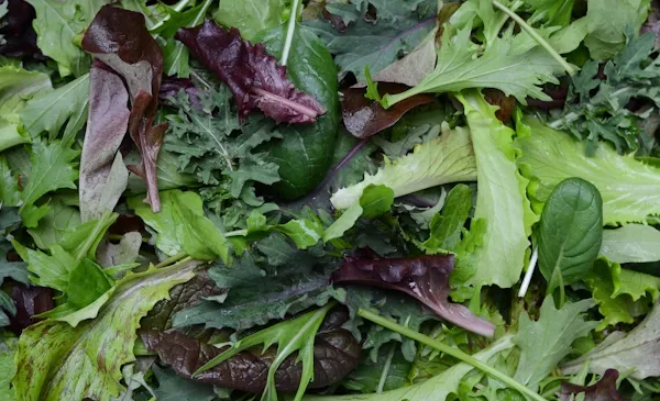 Salata la pungă, o bombă pentru sănătate. Iată ce poate conţine!