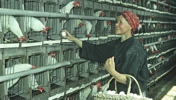 GALERIE FOTO. Ruşii "fericiţi şi liberi" în Epoca de Aur a URSS. Cum arată imaginile de atunci