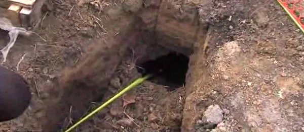 Au găsit o gaură în curtea casei. Se auzeau sunete de acolo. Au ÎNGHEŢAT când au văzut cine a ieşit