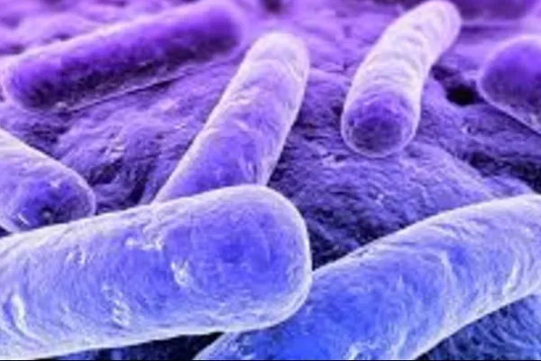Lista celor mai periculoase bacterii din alimente și cum să le distrugi