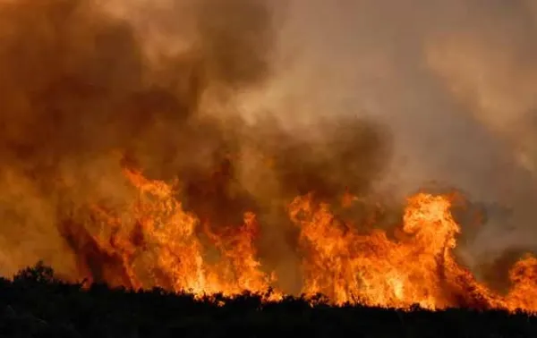 Incendiu devastator, în Canada. Pompierii nu-l pot stinge, aşteaptă să plouă!