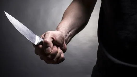 Atac sângeros în Germania: cinci persoane au fost înjunghiate. Suspectul, de negăsit