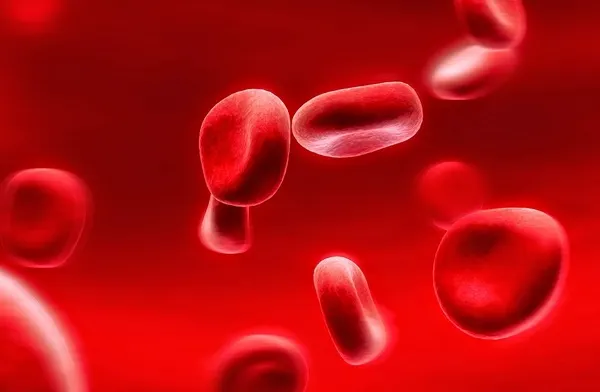 Alimentele rafinate reduc cromul din organism şi provoacă boli grave