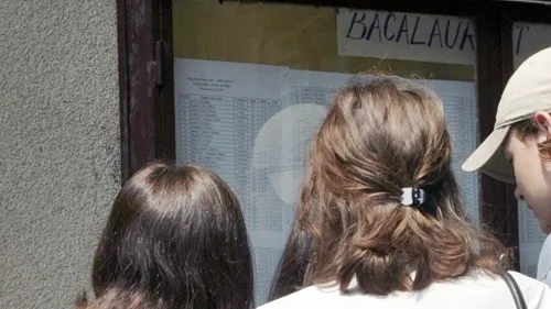 REZULTATE BACALAUREAT 2016 EDU.RO TIMIŞ. Patru licee, fără niciun promovat la BAC 2016
