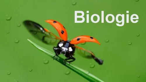 Subiecte BAC Biologie 2016. Consultă AICI subiectele la Biologie Bacalaureat 2016