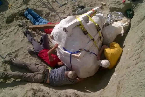 Descoperire incredibilă în refugiul dinozaurilor din Montana: are 12 metri lungime și 6 înălțime