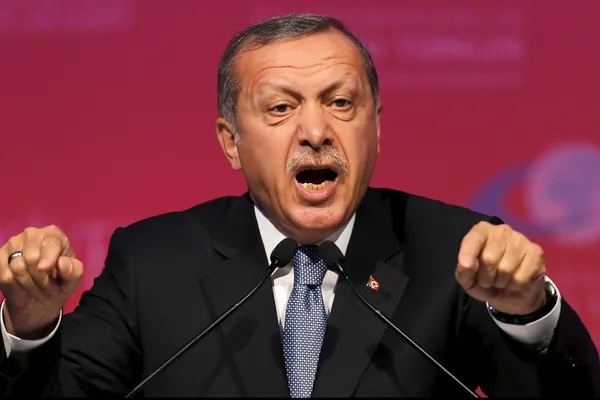 Erdogan acuză Germania de "sinucidere", înainte de summitul G20 de la Hamburg