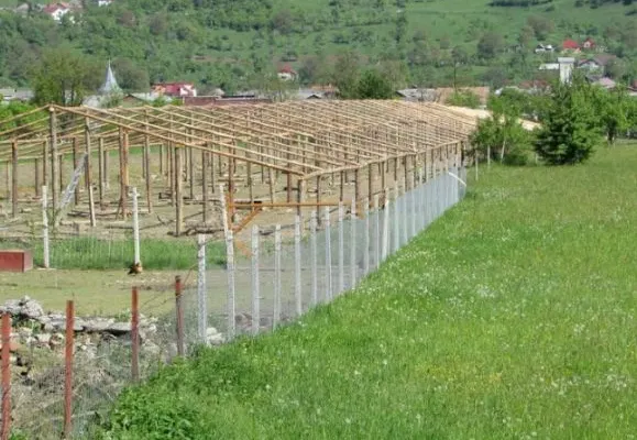 Germania relaxează restricțiile de călătorie pentru muncitorii agricoli sezonieri