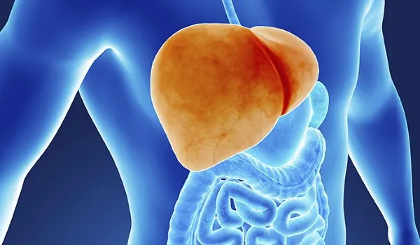 Alimente care îmbolnăvesc ficatul. Tot ce trebuie să știi despre sănătatea acestui organ